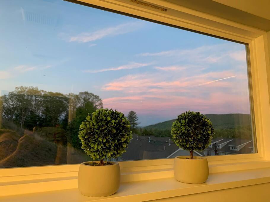 Newly Built Townhome Close To The Asheville Sites Candler Dış mekan fotoğraf